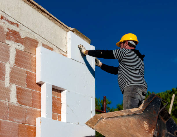 Best Insulation Installation Services in Mked Tree, AR