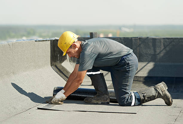 Best Residential Insulation in Mked Tree, AR