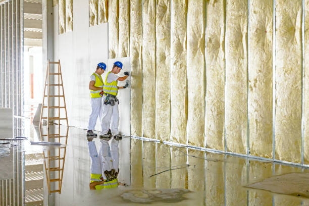 Best Commercial Insulation in Mked Tree, AR